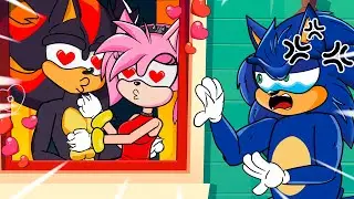 Shadow & Amy Just Loved | Poor Sonic Life