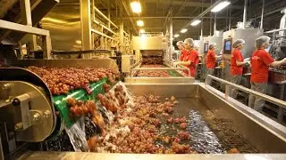 Inside a Red Grease Factory | Red Grease Manufacturing Process#food 