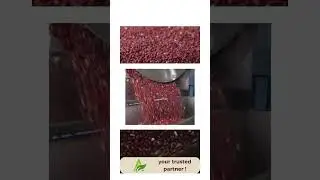 Premium Peanut Butter Manufacturing Process / High-Quality Production Unit Tour