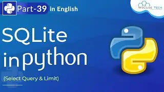 SQLite in Python | (Select Query & Limit) - Python Programming Tutorial #39