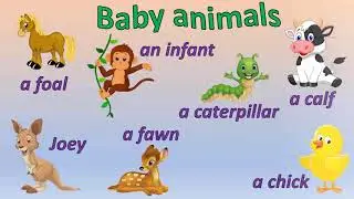 Учимся пошагово | Workbook | Young learners | lvl A1 | English book