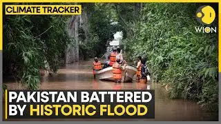 Pakistan Floods: Thousands Of Villages And Farms Washed Away | Devastation Threatens Economy | WION