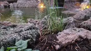 Custom Koi Pond, With massive 7' tall gratto waterfall you can go under!!!