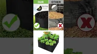 The best fabric garden beds for your home gardens #shorts