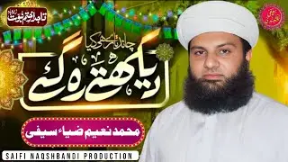 Chand Taare Hi Kya Dekhte Reh Gaye | Muhammad Naeem Zia Saifi | Saifi Naqshbandi #saifinaat #naat
