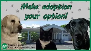 SREC Supports Pet Adoption