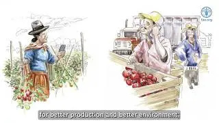 Fruit and vegetables: opportunities and challenges for small-scale sustainable farming