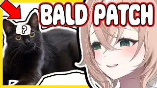 Nimi's Cat Is Going Bald