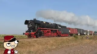 44 1593-1 met goederentrein tijdens Terug naar Toen 2022