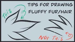 Tips for Drawing Fluffy Fur/Hair ✍️ #furryart #beginnerartist #tipsforbeginners