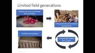 Seed Potato Production and Breeding in Organic Systems
