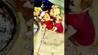 Pillu Sirf Dog Nahi&hellip; Family Hai ❤️🐶 | Pillu Ko Nahi Dekhu To 😢 @streetpuppywelcome