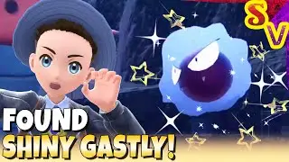 Shiny Gastly Found in Mass Outbreak! Live Shiny Reaction in Pokemon Violet
