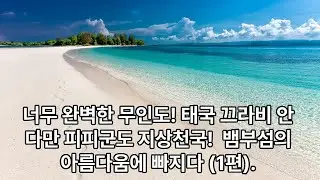 피피섬 1Day 투어.태국 끄라비 안다만 피피섬 피피군도 지상천국 