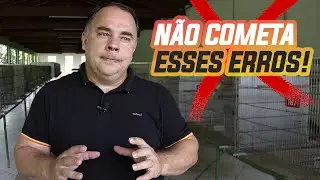 ALIMENTAÇÃO DAS AVES: 5 ERROS COMUNS