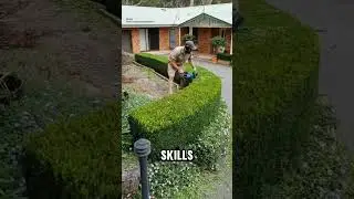 underestimated job, but produces an extraordinary work