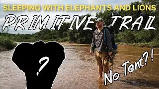 Sleeping With Elephants And Lions - Primitive Trail In The Greater Kruger