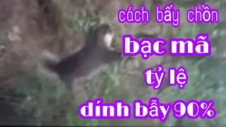 Cách bấy chồn bạc mã tỷ lệ dính 90% .những điều cần chú ý