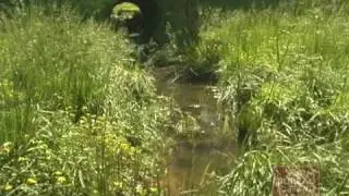 Arkansas Farm Bureau - Clean Water Act Revisions
