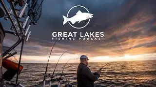 Answering Your Fish Hawk Electronics Questions