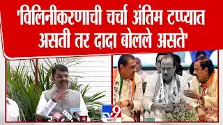 Devendra Fadnavis | 'विलिनीकरणाची चर्चा अंतिम टप्प्यात असती तर दादा बोलले असते'