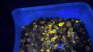 Zircon Hunting, Gemtree, Plenty Hwy, Red Centre, Northern Territory
