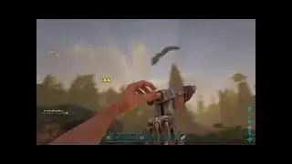 Bird Kept stealing our Stuff!!! part 2