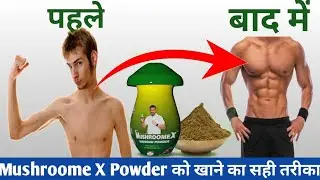 Mushroom X | Mushroom Powder | Mushroome power Ko Kaise Use Kare | Mushroom Powder kayse kahye