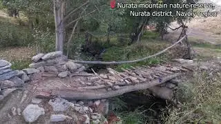 Nurata Nature Reserve | Ecotourism of Uzbekistan