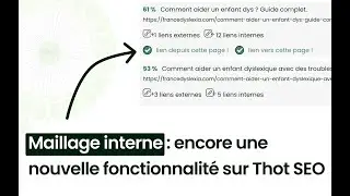 Maillage interne : review de la nouvelle fonctionnalit&eacute; Thot SEO