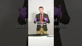 Wooden VS Plastic Guns