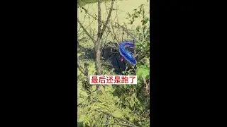 #fishing and catching shrimp #flower basket net catching black fish #outdoor catching fish #outdoor