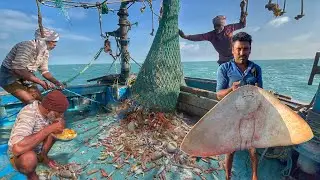 😱 Unbelievable Prawns Catch at Sea!🦐|💢Massive Net Haul‼️| Yummy🤤Breakfast Crab🦀&Pomfretfish🐟 Curry😋
