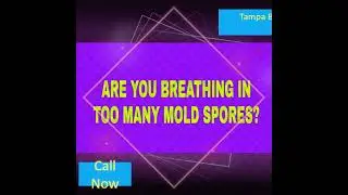 Mold Inspection Testing New Tampa 813-358-4766 TampaBayMold.net