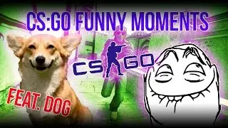 CS:GO - THE RETURN OF DOG! (CSGO: Funny Moments!)