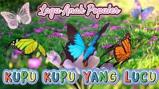 Lagu Populer KUPU KUPU YANG LUCU - KBeeb #laguanak #kupukupu