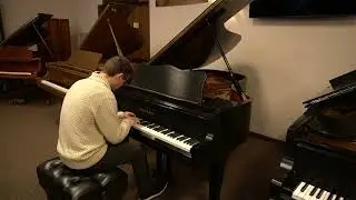 Charles Walter 1998 Ebony Satin Grand Piano - Puddles by Ryan Grippo