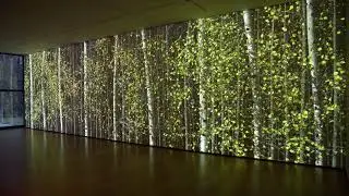 Jennifer Steinkamp, Blind Eye, 1