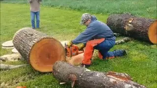 Norwich Connecticut Chainsaw get together 2016 compilation video