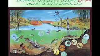 علوم اول متوسط  درس : ما النظام البيئي     إعداد وتقديم / عبدالهادي  خليل