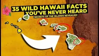 🌺 35 Wild Hawaii Facts You’ve Never Heard – Secrets of the Islands Revealed!
