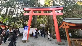 [Hakone Shrine on New Year's Day] From the second torii gate to the fourth torii gate