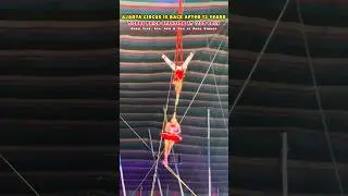 Ajanta Circus #circus #ajantacircus #fun #enjoyment