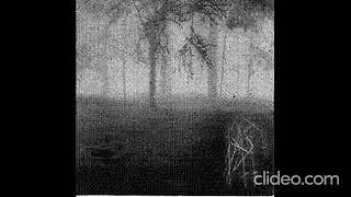Gast - F&ouml;rfall