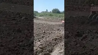 MF385tractor with ploughing Disk#excavator #viral #TAHIRVLOG