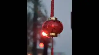 Chinese New Year 2022 - Tiger - Marsana - Hudayriyat Island