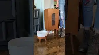 Modern dog feeder. Houndsy.com #midcenturymodern #interiordesign #dogfeeder #dogs