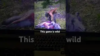 #wolf #skin #reddeadredemption #rdr2 #gaming #forest #wild #wow