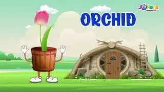 Let's learn about flowers- JoHens Education TV - kids songs & Nursery Rhymes