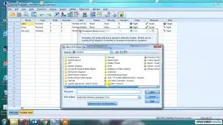 SPSS'de Monte Carlo Simülasyonu